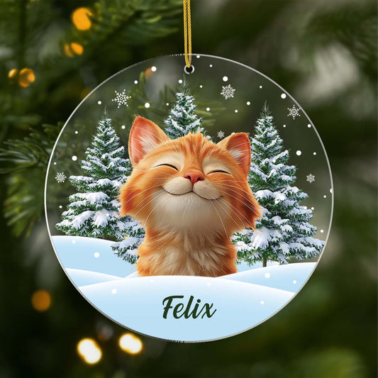 5379OGE1 katzen im schnee christbaumschmuck katze personalisiert_ mit foto 5379OKQ5D