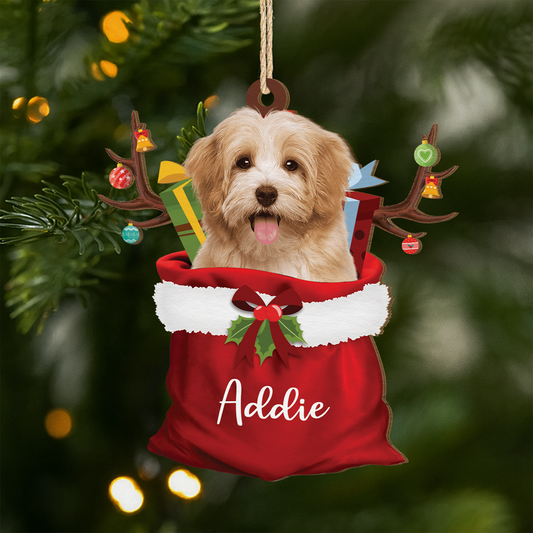 5522OGE1 hund mit foto_ nikolaussack personalisierte 1 schicht holz ornamente weihnachten 5522O8LAC