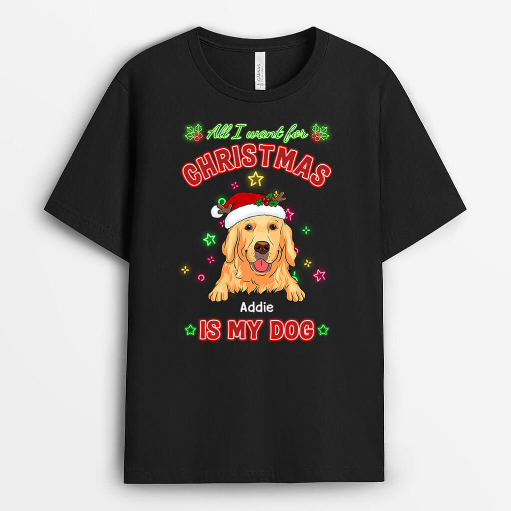 Alles was ich mir zu Weihnachten wünsche ist mein Hund - Personalisiertes Geschenk | T-shirt für Hundeliebhaber