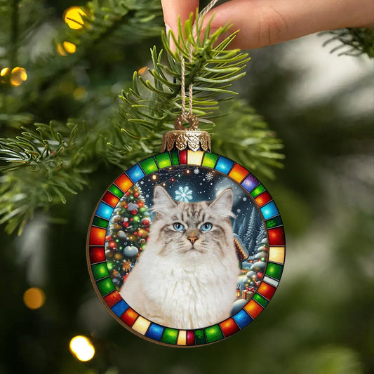 2_09aa4fc5 e12d 4bcd 8050 f24d80c5f368