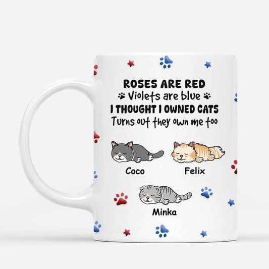 3979MGE1 ich bin der sklave meiner katze lustige katzen tasse personalisiert 3979MKH5D