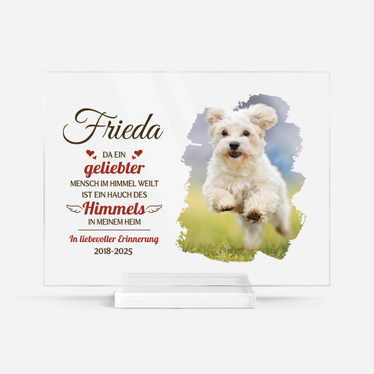 5154RGE1 erinnerungen spruche personalisierte acryl plakette hund mit foto zur erinnerung 5154RTTNC