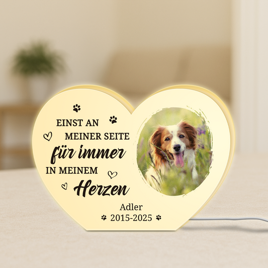 5251LGE1 fur immer in meinem herzen personalisierte lightbox_ hund mit foto zur erinnerung 5251L8H5C_08a522f9 8a43 4cf2 bb21 639adb37562c