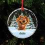 5379OGE1 hund weihnachtsbaum personalisierter weihnachtsschmuck_ aus glas hunde mit foto 5379OKQMC