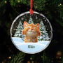 5379OGE1 katze weihnachtsbaum personalisierter weihnachtsschmuck_ aus glas katzen mit foto 5379OKQMD