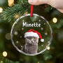 5388OGE2 hunde personalisierter weihnachtsschmuck_ aus glas hunde 5388O6VCC