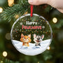 5539OGE2 feliz navidog personalisierter weihnachtsschmuck_ aus glas hunde 5539O3YTC