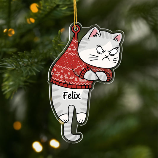 6245OGE1 lustiger katzen anhanger_ acryl weihnachtsschmuck personalisiert 6245O8QAD