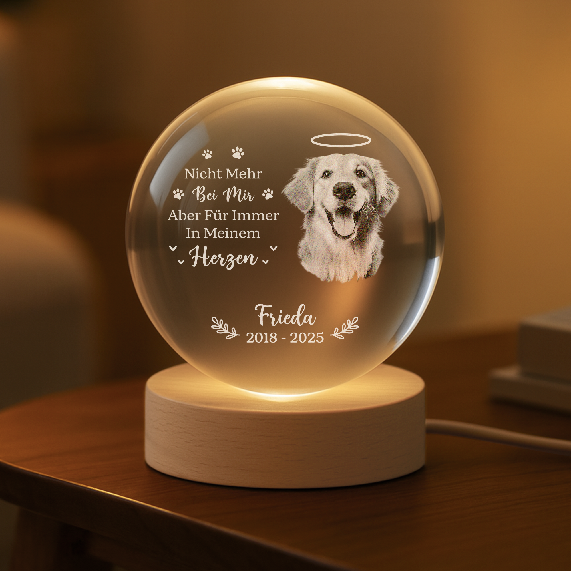 6459LGE2 der schmerz des abschieds zeigt wie wertvoll es war kristallkugel personalisiert_ katze hund mit foto zur erinnerung 6459LKPMC