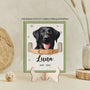 7727QGE2 ich werde dich fur den rest meines lebens vermissen personalisierte trauergeschenke  foto holzaufsteller katze 7727qsqad