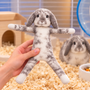 FloppyPlushRabbitinCozyHabitat