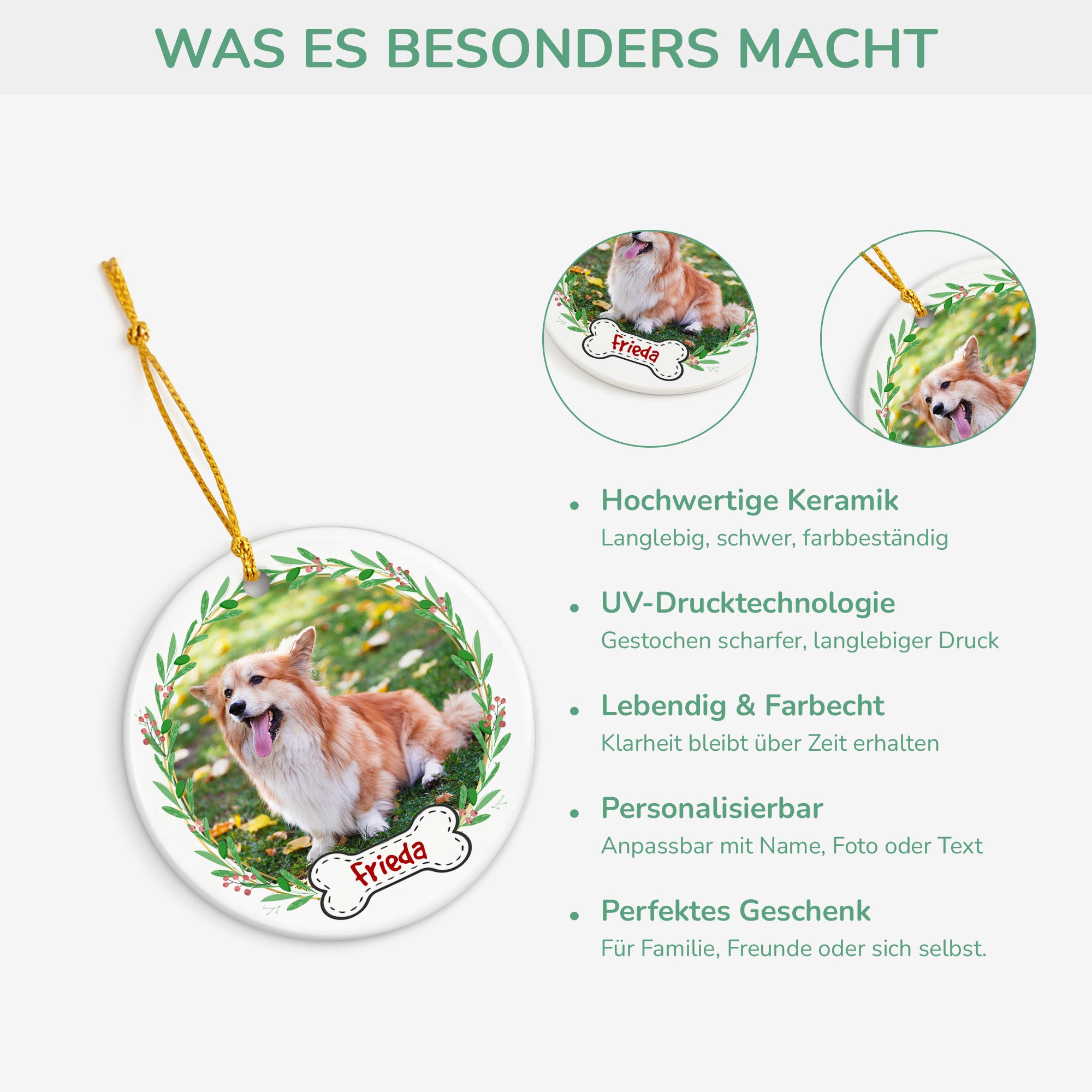 Sweety - sucht ein warmes Plätzchen 💖 Die süße Katze lebt zusammen mit  ihren Geschwistern auf einem Hof draußen bei einer älteren Dame. Dort  werden sie zwar geduldet und immerhin nicht gewaltsam, image size:2000x2000