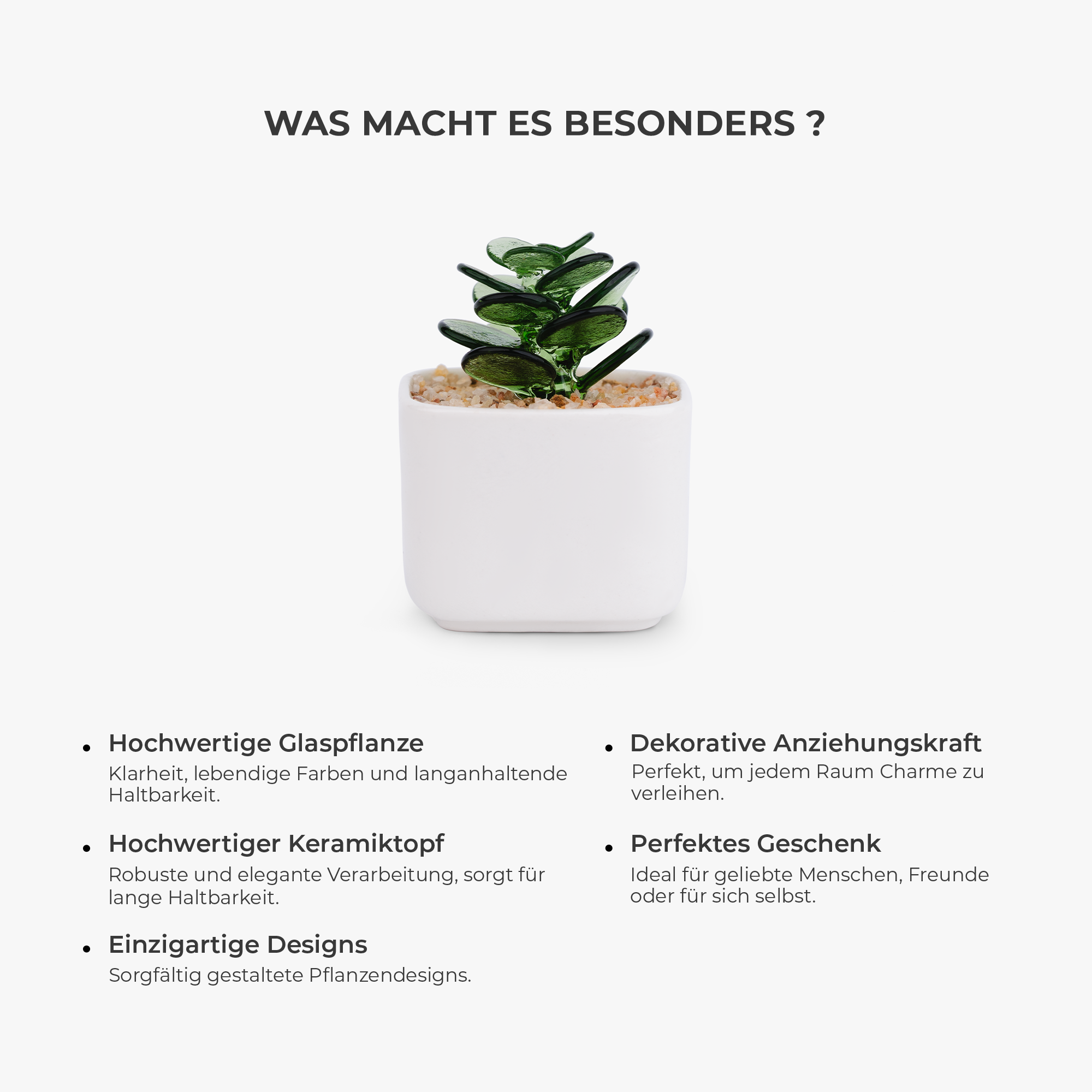 MK5_3b29aed1 4d67 4970 b4c2 414d52bfed21