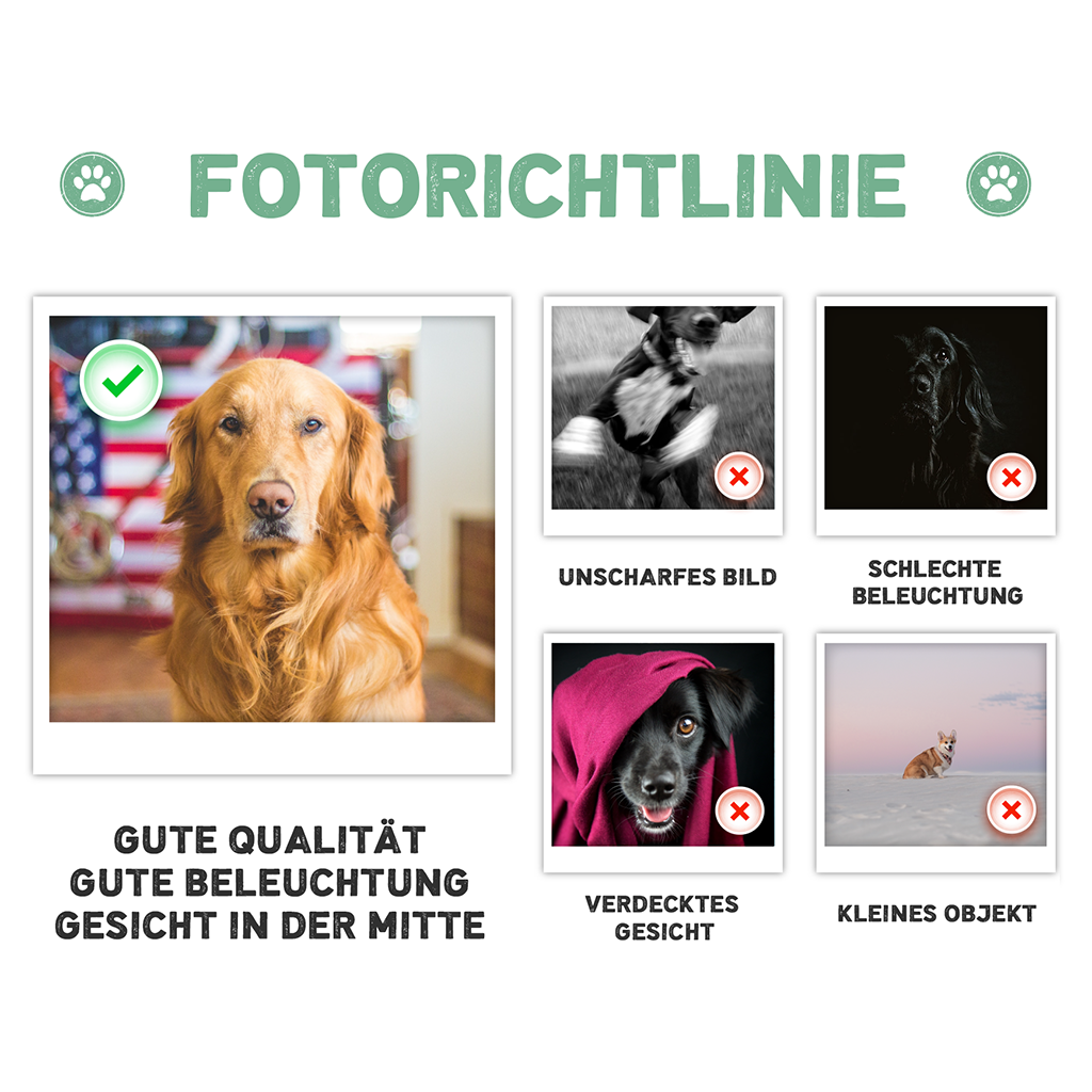 PHOTOGUIDELINECHOD_C_f48e3463 2b7b 4fea bb23 ec4a892e3497