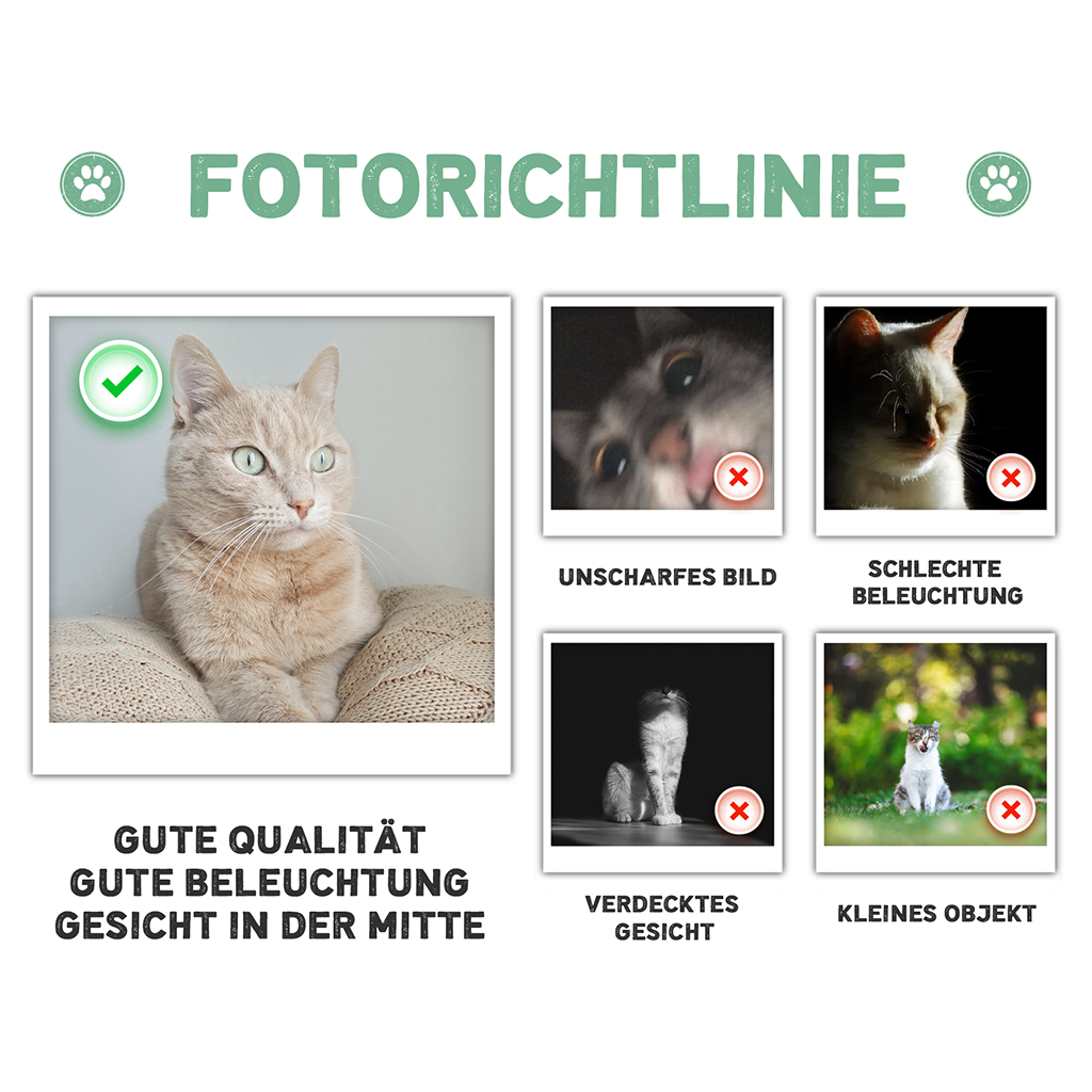 PHOTOGUIDELINEMEOD_C_d919a2e5 b891 4613 97e2 9a5716ec552c