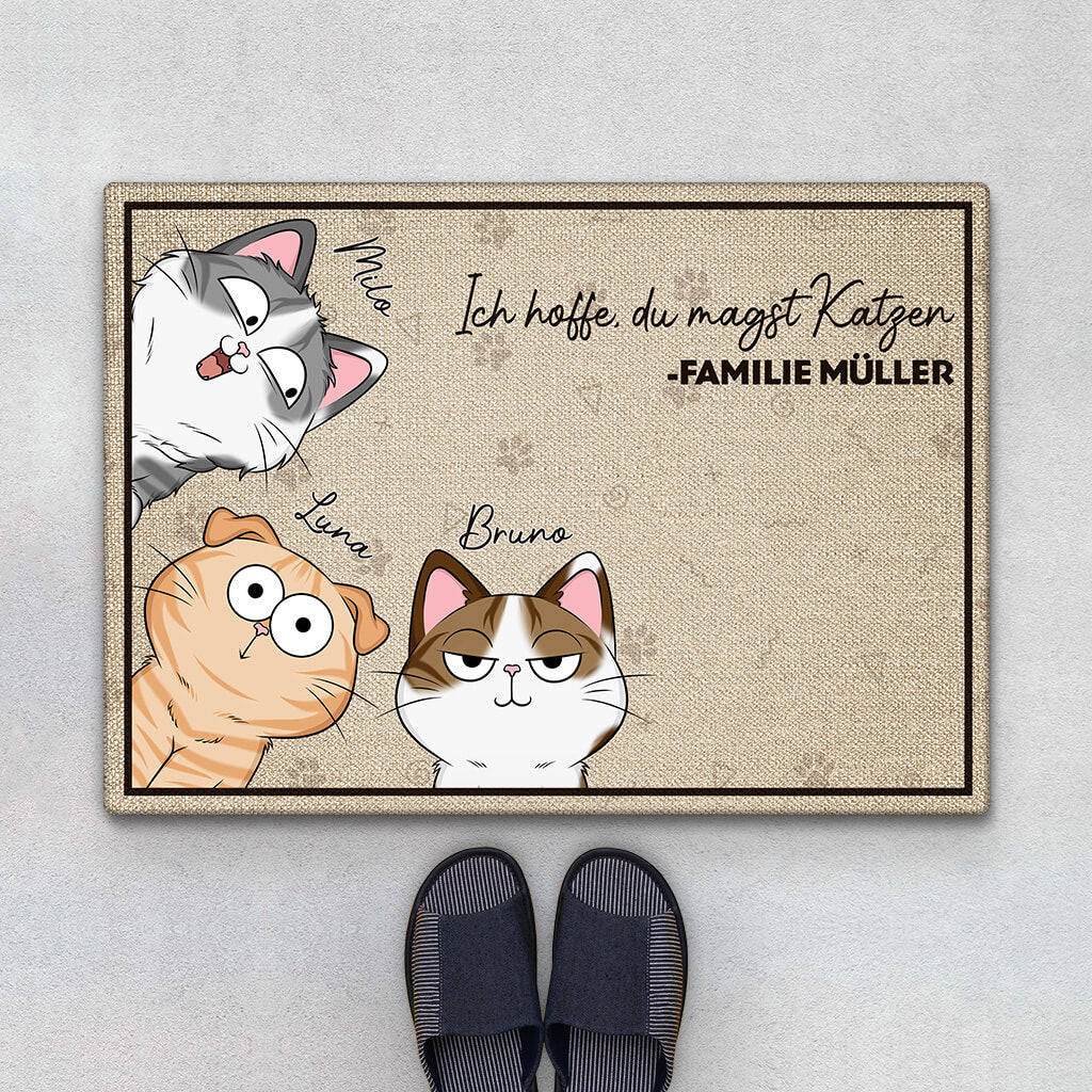 Ich Hoffe Du Magst Katzen - Personalisiertes Geschenk | Fußmatte für Katzenliebhaber