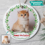 0111O040DGE2 individuelle Ornament aufmerksamkeiten katzen katzenliebhaber weihnachtskugel