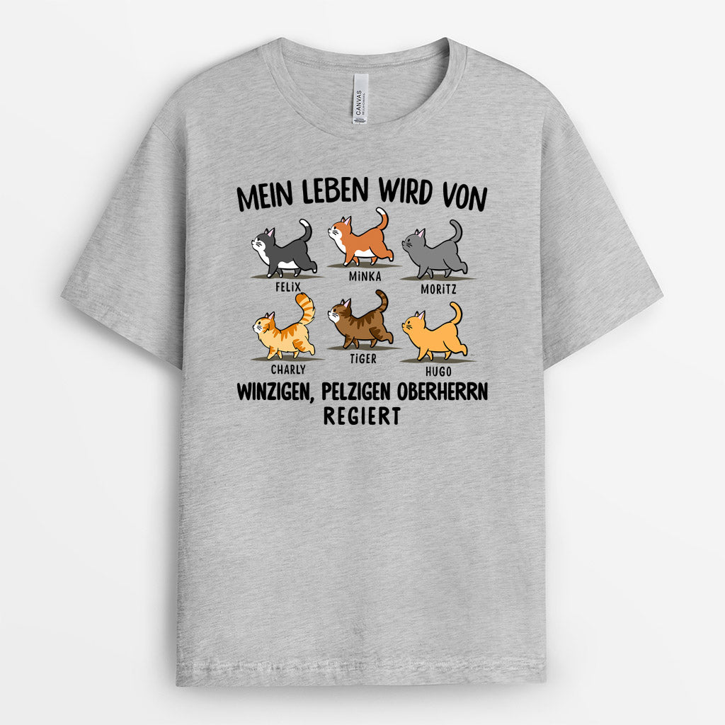 Winzigen, Pelzigen Oberherrn - Personalisierte Geschenke | T-Shirt für Katzenliebhaber
