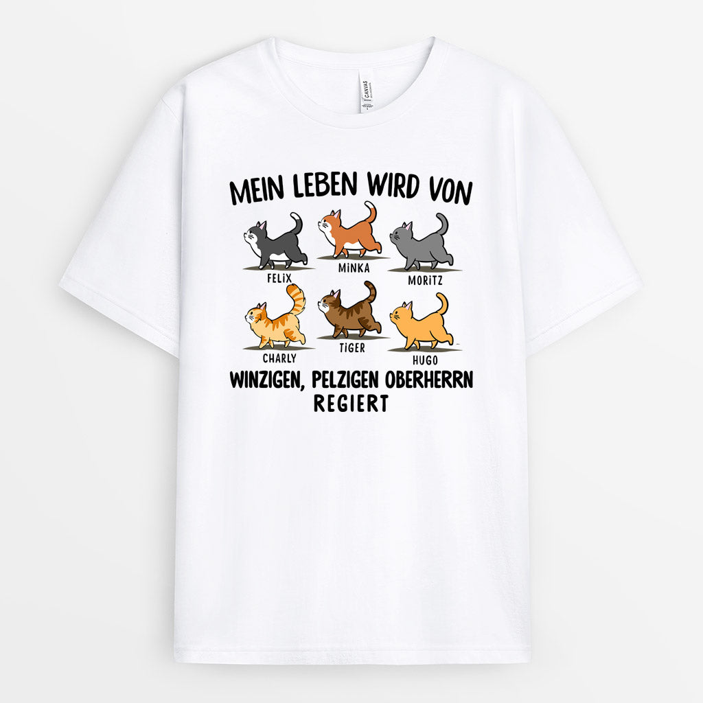 0147AGE2 personalisierte T Shirt geschenke katzen katzenliebhaber